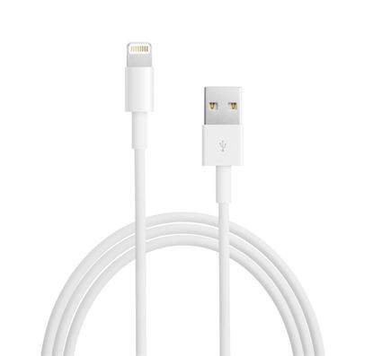 Imagen de APPLE - CABLE LIGHTNING A USB 2 METROS BLANCO