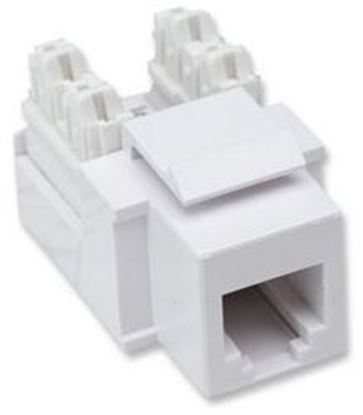 Imagen de PAQ. C/5 - INTELLINET - JACK RJ11/RJ12 DE IMPACTO BLANCO                                      