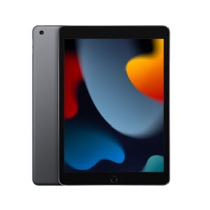 Imagen de APPLE - IPAD 9A GENERACION 10.2 PULG WI-FI 256 GB GRIS ESPACIAL