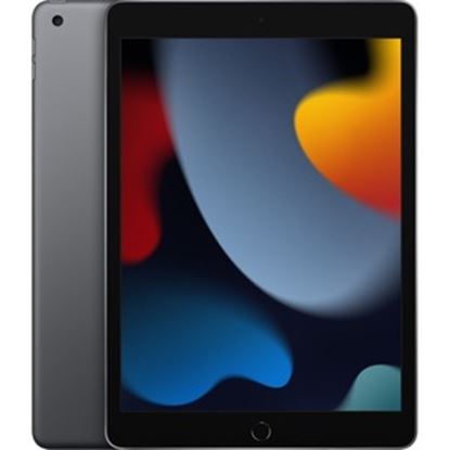 Imagen de APPLE - IPAD 9A GENERACION 10.2 INC WI-FI 64 GB GRIS ESPACIAL -F