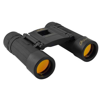 Imagen de WALLIS - BINOCULAR COMPACTO TIPO TEJADO, REVESTIMIENTO RUBICON, AUTOENFOQUE, 12 X 25 MM, NEGRO