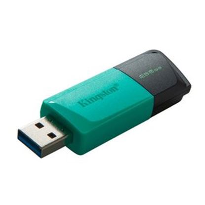 Imagen de KINGSTON - USB 3.2 MEMORIA KINGSTON 256GB DT EXODIA M TAPA DESLIZABLE (NEGRA-