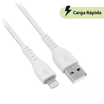 Imagen de PAQ. C/3 - DATA COMPONENTS - FASTCHARGE CABLE USB V3.0 LIGHTNING BCO 1M