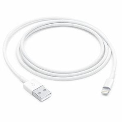 Imagen de APPLE - CABLE LECTOR LIGHTNING A USB 1M SB 1M