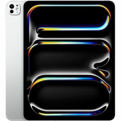 Imagen de APPLE - 11IN IPADPRO WIFI CEL 512GB STD GLASS SILVER