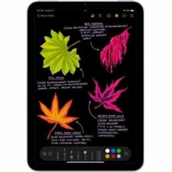 Imagen de APPLE - IPAD MINI WIFI 128GB PURPLE 