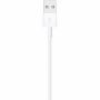 Imagen de APPLE - LIGHTNING TO USB CABLE 1M 