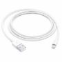 Imagen de APPLE - LIGHTNING TO USB CABLE 1M 