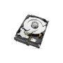 Imagen de SEAGATE - DISCO DURO INTERNO 3.5IN 2TB SATA 7200RPM 256MB 2YR BARRACUDA