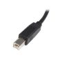 Imagen de PAQ. C/2 - STARTECH - CABLE USB DE 3M PARA IMPRESORA USB A MACHO A USB B MACHO