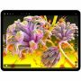 Imagen de APPLE - 11IN IPADPRO WIFI 512GB STD GLASS SILVER