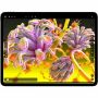 Imagen de APPLE - 13IN IPADPRO WIFI 256GB STD GLASS SPACE BLACK