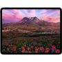 Imagen de APPLE - 13IN IPADPRO WIFI 256GB STD GLASS SPACE BLACK