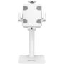 Imagen de IC - SOPORTE TABLETA ESCRITORIO 7.9 A 11 ANTIRROBO ROTACION BLANCO