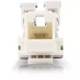 Imagen de PAQ. C/10 - BELDEN - CONECTOR JACK ENSON CAT6 COLOR BLANCO