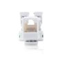 Imagen de PAQ. C/10 - BELDEN - CONECTOR JACK ENSON CAT5E COLOR BLANCO