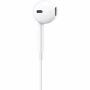 Imagen de APPLE - EARPODS USB-C 