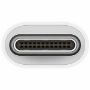 Imagen de APPLE - USB-C PARA USB ADAPTADOR 