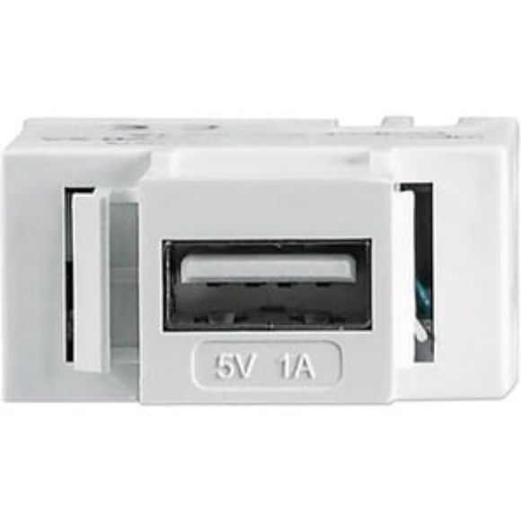 Imagen de PAQ. C/2 - IC - COPLE USB KEYSTONE BLANCO 1A 