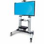 Imagen de STARTECH - MOBILE TV TROLLEY WITH WHEELS FOR TV UP TO 100/100KG