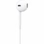 Imagen de APPLE - EARPODS USB-C 