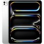Imagen de APPLE - 13 IN IPAD PRO WIFI 1 TB PLATA