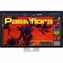 Imagen de APPLE - STUDIO DISPLAY - VIDRIO ESTANDAR - BASE CON INCLINACION AJU