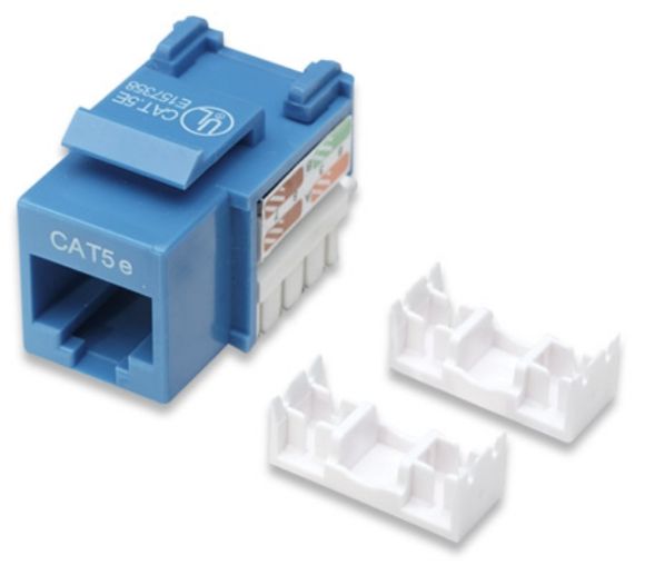 Imagen de PAQ. C/5 - INTELLINET - JACK CAT 5E DE IMPACTO (KEYSTONE) AZUL